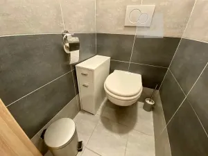Pronájem bytu 2+kk, Brno, Ryšánkova, 51 m2