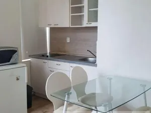 Pronájem bytu 1+kk, Brno, Francouzská, 30 m2