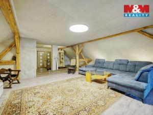 Prodej rodinného domu, Bor - Vysočany, 316 m2