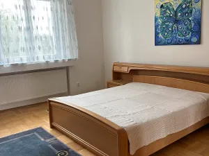 Pronájem bytu 4+1, Brno, Vinařská, 125 m2