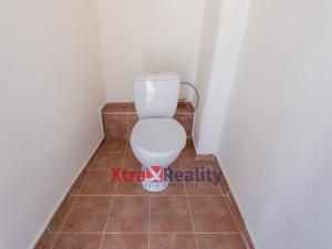 Prodej bytu 2+1, Teplice, Školní, 101 m2