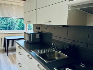 Pronájem bytu 1+1, Frýdek-Místek, Jeronýmova, 39 m2