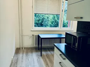 Pronájem bytu 1+1, Frýdek-Místek, Jeronýmova, 39 m2