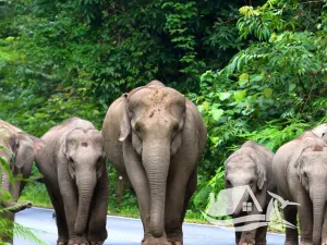 Prodej bytu 2+kk, Pattaya, Thajsko, 32 m2