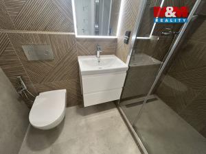 Pronájem bytu 2+1, Ústí nad Labem - Bukov, 17. listopadu, 52 m2