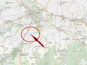 Prodej lesa, Opava, 29146 m2