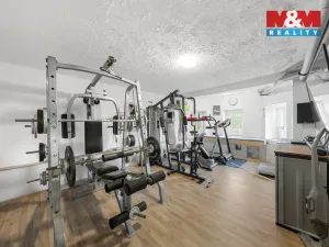 Prodej rodinného domu, Ústí nad Labem - Střekov, Jeseninova, 275 m2