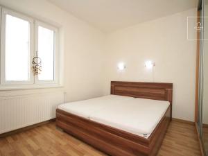 Pronájem bytu 2+kk, Praha - Žižkov, Jeseniova, 46 m2