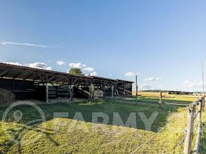 Prodej zemědělského objektu, Březnice, 300 m2