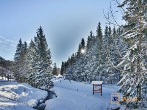 Prodej bytu 1+kk, Harrachov, 39 m2