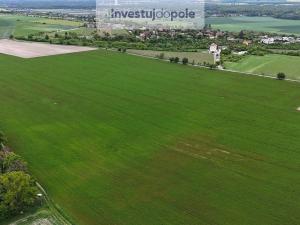Prodej pole, Velký Borek - Skuhrov, 13936 m2