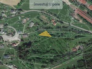 Prodej louky, Benecko - Mrklov, 1960 m2