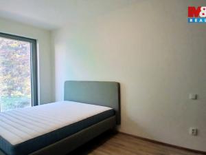 Pronájem bytu 2+kk, Praha - Žižkov, Hartigova, 47 m2