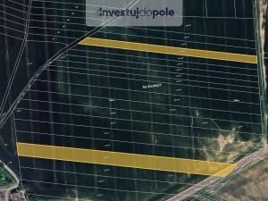 Prodej pole, Žimutice, 1063 m2