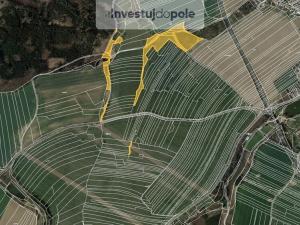 Prodej lesa, Golčův Jeníkov, 17535 m2