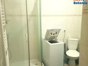 Pronájem bytu 2+kk, Klášterec nad Ohří, Tyršova, 36 m2