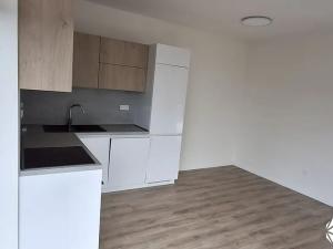 Pronájem rodinného domu, Boskovice, 47 m2