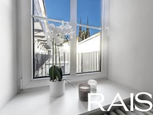 Prodej bytu 3+kk, Brno, 63 m2