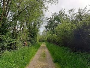 Pronájem bytu 1+kk, Neveklov, náměstí Jana Heřmana, 40 m2