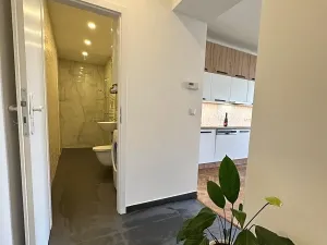 Pronájem bytu 2+kk, Praha - Žižkov, U kněžské louky, 80 m2
