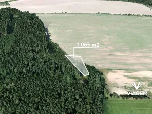 Prodej lesa, Velký Malahov, 1065 m2