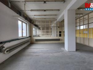 Pronájem skladu, Šternberk, Dvorská, 220 m2