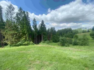 Dražba louky, Malá Bystřice, 3433 m2