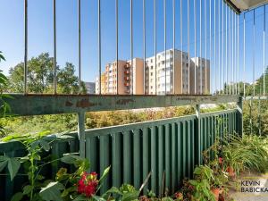 Prodej bytu 3+1, Brno, Zikova, 76 m2