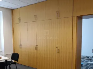 Pronájem kanceláře, Praha - Nové Město, Opletalova, 25 m2