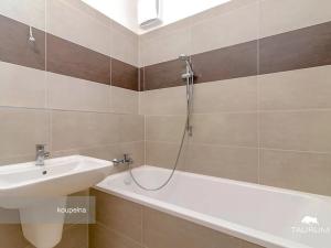 Prodej bytu 2+kk, Plzeň, Studentská, 58 m2