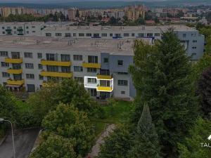 Prodej bytu 2+kk, Plzeň, Studentská, 58 m2