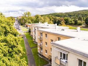 Pronájem bytu 2+1, Teplice, Buzulucká, 57 m2
