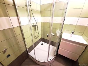 Pronájem bytu 1+1, Pardubice, Jana Palacha, 39 m2