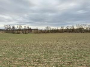 Prodej sadu/vinice, Malotice, 12163 m2