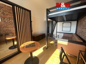 Pronájem bytu 1+1, Praha - Vinohrady, Šafaříkova, 31 m2