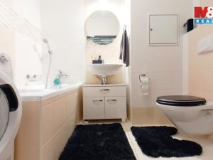 Pronájem bytu 2+kk, České Budějovice - České Budějovice 7, Lidická tř., 56 m2