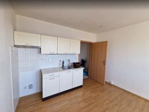 Pronájem bytu 1+kk, Ostrov, Kollárova, 20 m2