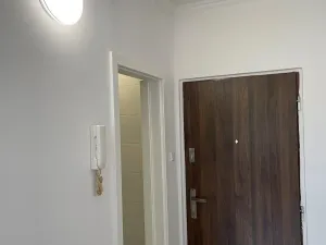 Pronájem bytu 1+kk, Ostrov, Kollárova, 20 m2