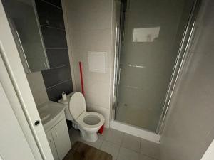 Pronájem bytu 1+kk, Ostrov, Kollárova, 20 m2