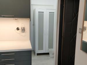 Pronájem bytu 1+kk, Brno, Brigádnická, 20 m2
