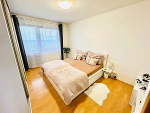Pronájem bytu 4+kk, Brno, Pavlovská, 99 m2