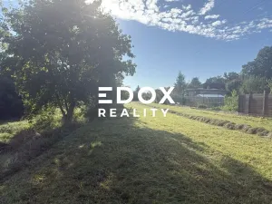 Pronájem zahrady, Záryby, 2094 m2