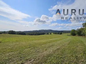 Prodej louky, Blatno, 34886 m2