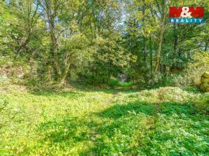 Prodej pozemku pro bydlení, Kladruby - Brod u Stříbra, 1051 m2