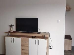 Pronájem bytu 1+kk, Zálší, 29 m2