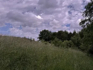 Prodej podílu pozemku, Suchdol, 9027 m2