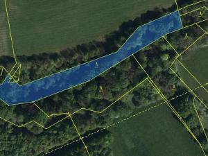 Prodej lesa, Český Těšín, 5193 m2