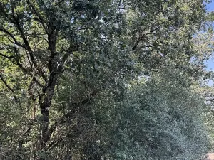 Prodej podílu pozemku, Hradiště, 3093 m2