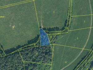 Prodej podílu lesa, Malenice, 3819 m2