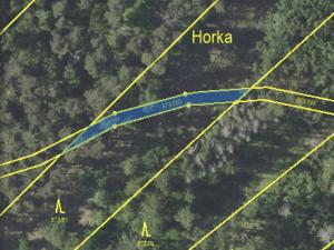 Prodej lesa, Kladruby, 698 m2